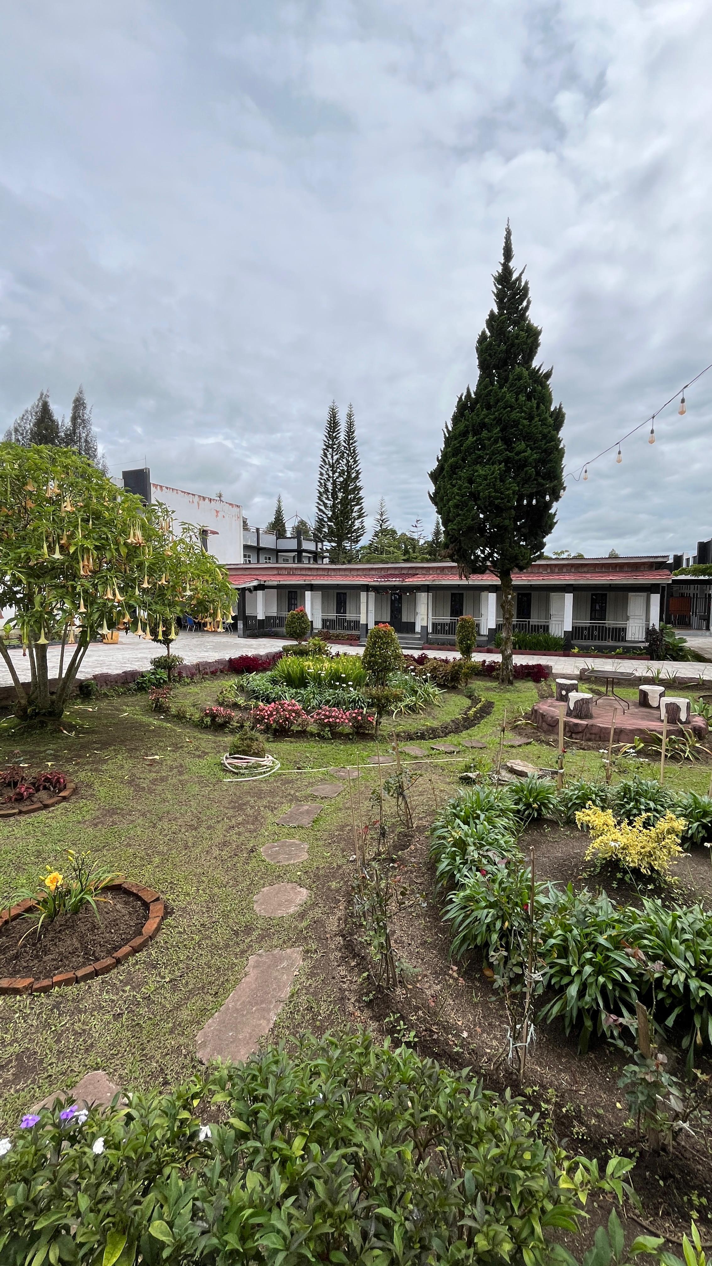 WhatsApp Image 2024-12-11 at 14.46.20 (1)